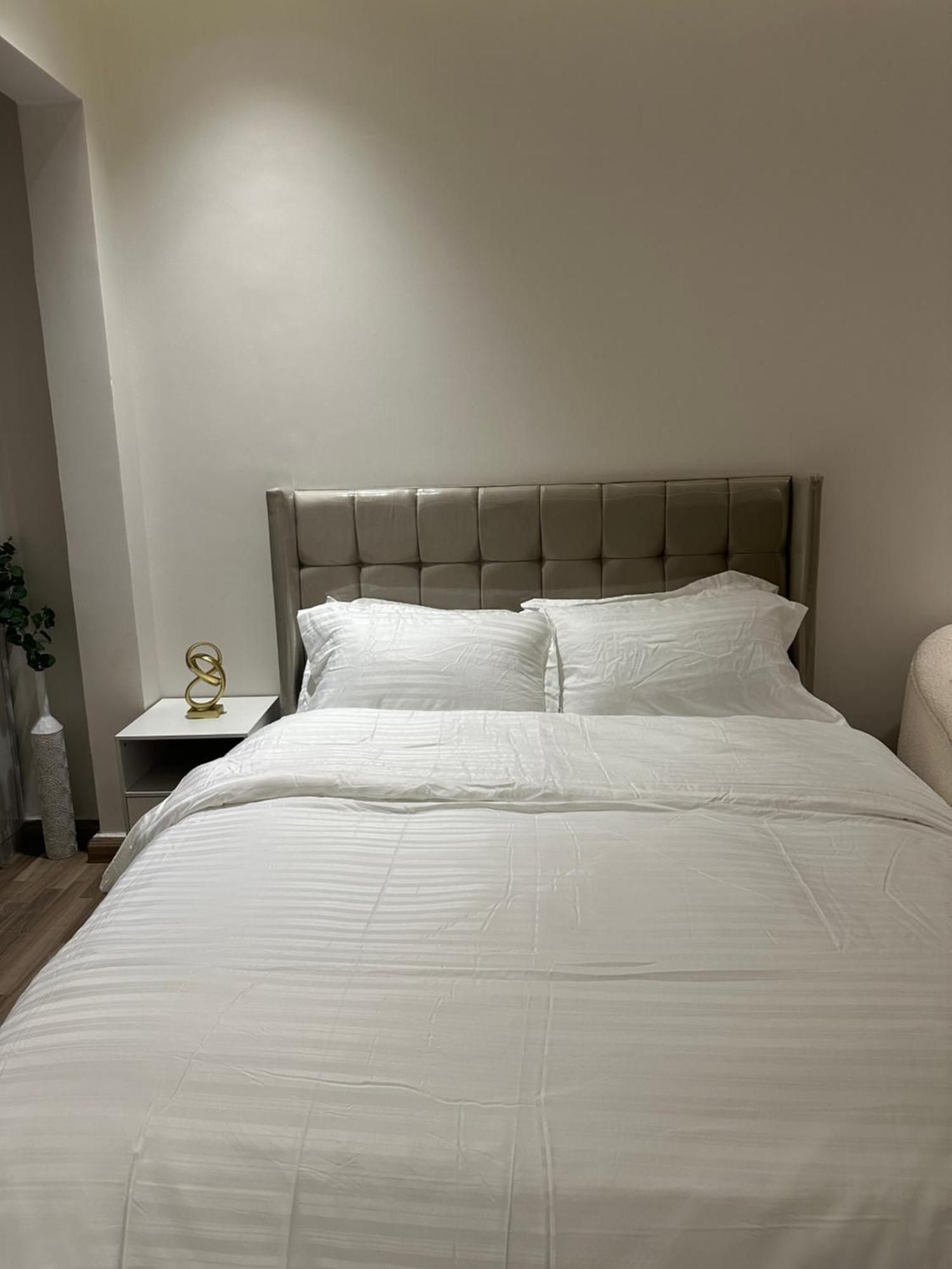 Apartment Elegant And Quiet For Smart Entry Riyadh
